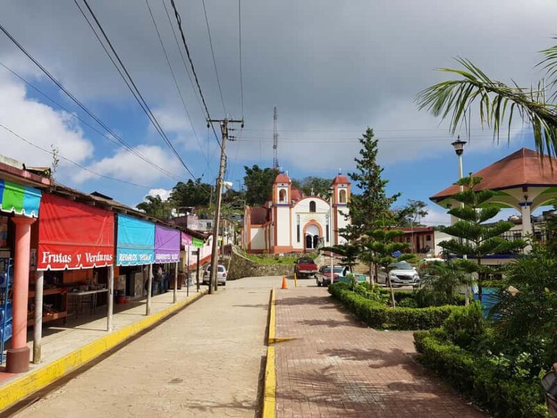 From Huatulco: 3 Levels, Coffee, Culture, and Nature Tour - Key Points