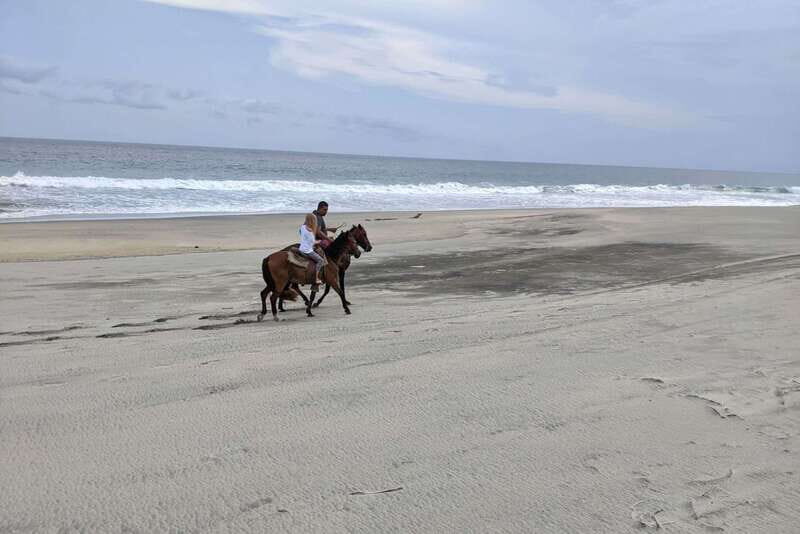 From Huatulco: Beach Horseback Riding Experience - From Huatulco: Beach Horseback Riding Experience