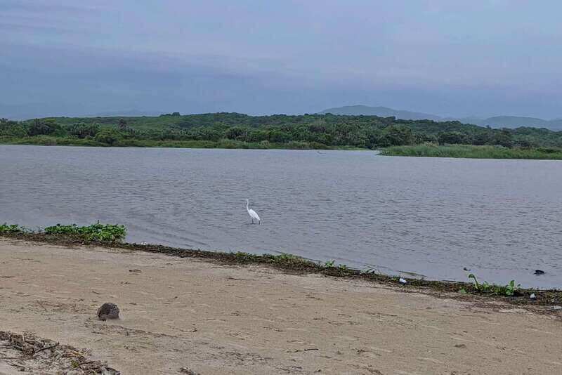 From Huatulco: Beach Horseback Riding Experience - FAQ