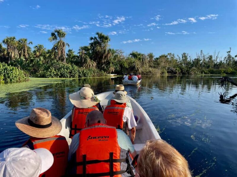 From Huatulco: Crocodile and Turtle Eco-Tour - Practical Details and Tips