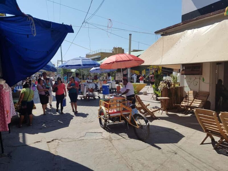From Huatulco: Pochutla Market Tour with Local Guide - Key Points