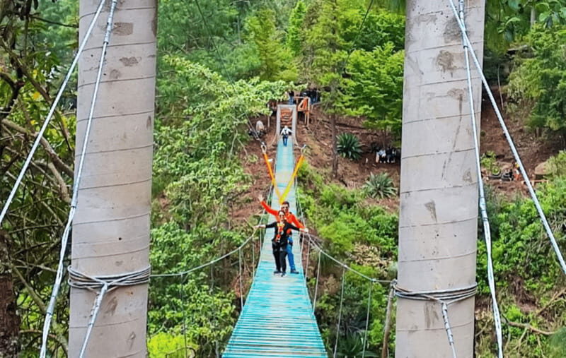 From Huatulco: San Jose del Pacifico Tour - What to Expect and Practicalities