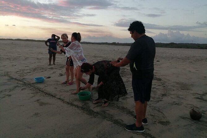 From Huatulco: Turtle Release & Bioluminescence - FAQ