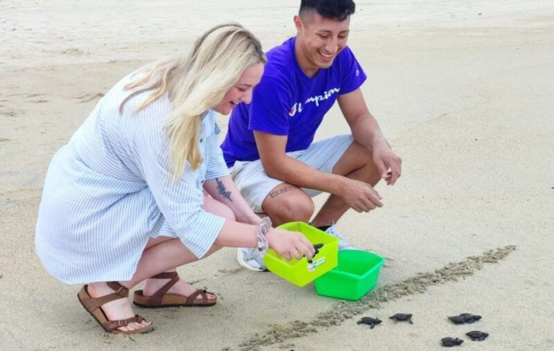 From Huatulco:Turtle Release and Bioluminescence Tour - FAQ