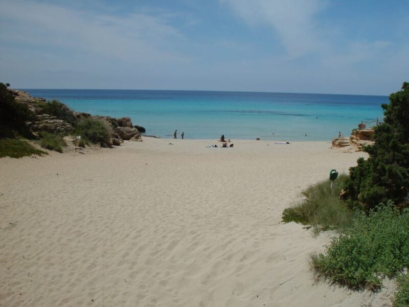From Ibiza: Ferry and Guided Bus Excursion in Formentera - FAQ