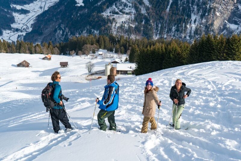 From Interlaken: Guided Snowshoe Tour - Final Thoughts