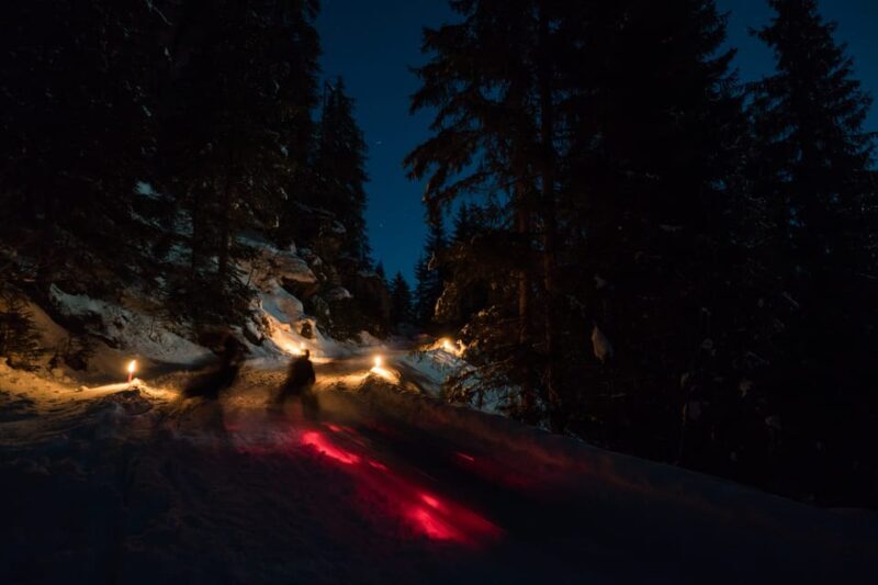 From Interlaken: Night Sledding - Why Travelers Love This Experience