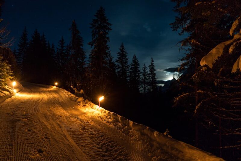 From Interlaken: Night Sledding with Cheese Fondue Dinner - Practical Details: What You Need to Know
