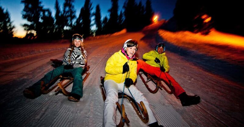From Interlaken: Night Sledding with Cheese Fondue Dinner - Who is This Tour Best For?