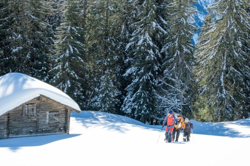 From Interlaken: Wetterhorn Trail Snowshoe Hiking Tour - The Guides and Experience Quality