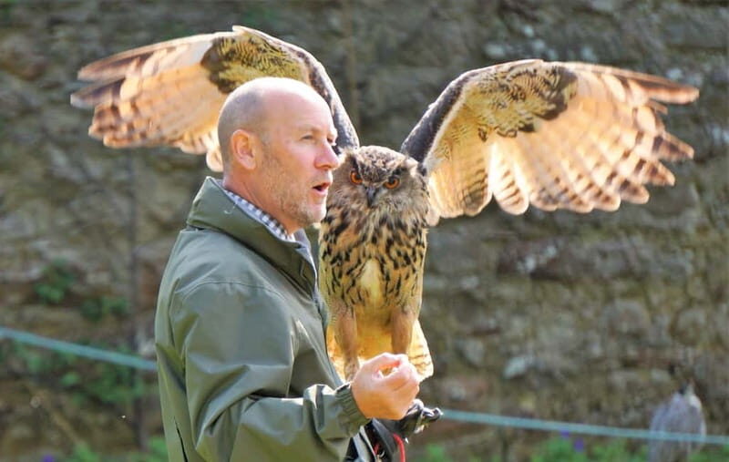 From Invergordon: Private Northern Highlands Shore Excursion - Key Points