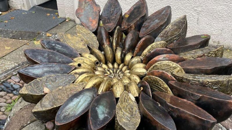 From Inverness: Black Isle Tour with Dolphin Spotting - Key Points