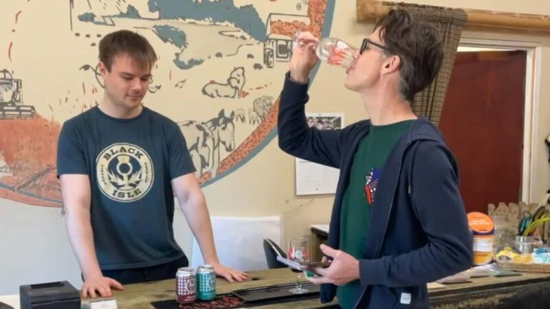 From Inverness: Black Isle Tour with Dolphin Spotting - Who Should Consider This Tour?