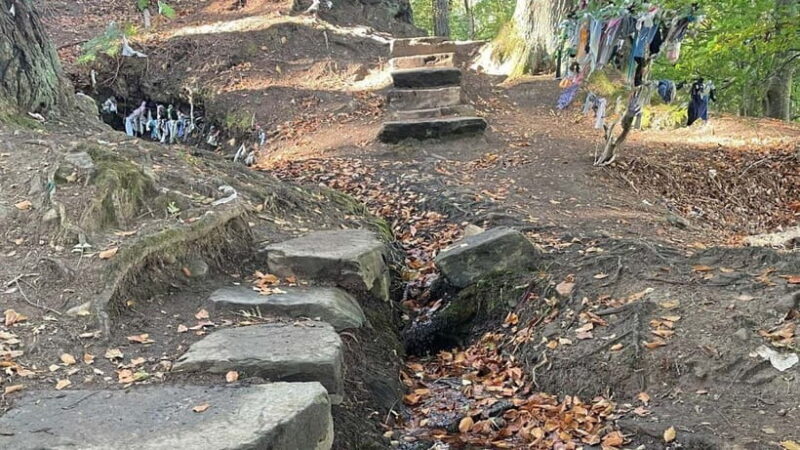 From Inverness: Black Isle Tour with Dolphin Spotting - Final Thoughts