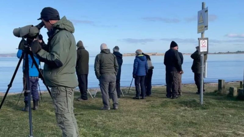 From Inverness: Black Isle Tour with Dolphin Spotting - FAQ