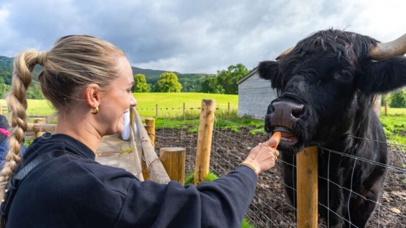 From Inverness: Cawdor Castle, Clava Cairns & The Cairngorms - Logistics and Practical Tips