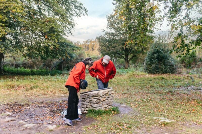 From Inverness: Glen Affric, Culloden, and Clava Cairns Tour - Exploring the Heart of the Highlands