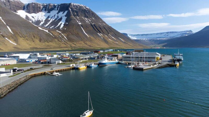 From Isafjordur: Private Dynjandi Waterfall & Farm Tour - Key Points