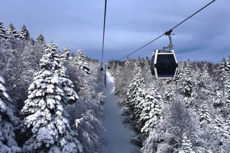 From Istanbul: Bursa and Mt. Uluda Full-Day Tour - Key Points