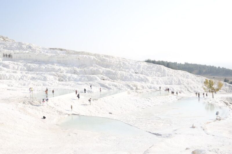 From Istanbul: Ephesus and Pamukkale 2-Day Trip - The Pros and Cons: Real Traveler Insights