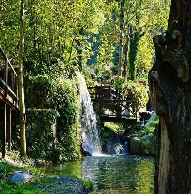 From Istanbul: Full Day Private Sapanca & Masukiye Tour - The Journey Begins: From Istanbul to Sapanca and Masukiye