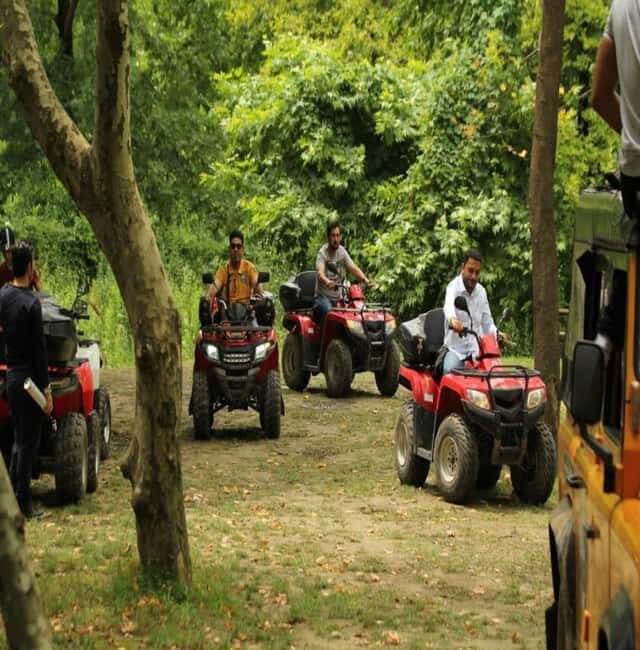 From Istanbul: Full Day Private Sapanca & Masukiye Tour - Lunch by the Waterfall: A Local Culinary Treat