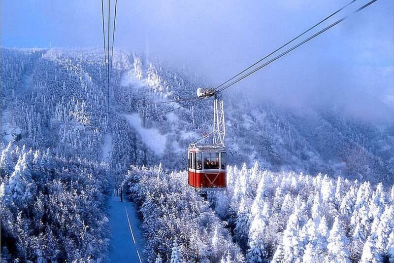 From Istanbul: Full-Day Tour to Bursa - A Detailed Look at the Bursa Full-Day Tour