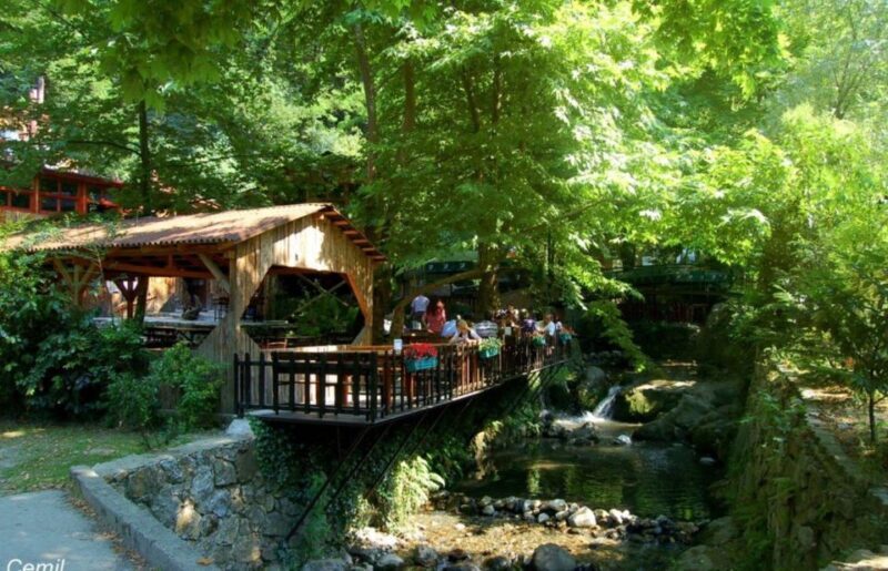 From Istanbul: Guided Day Trip to Sapanca and Masukiye - A Detailed Look at the Tour Experience