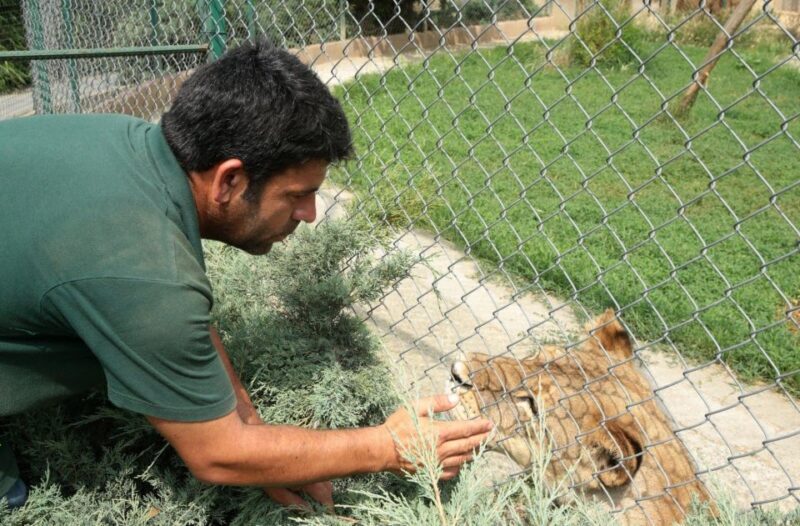 From Istanbul: Guided Day Trip to Sapanca and Masukiye - FAQs About the Sapanca & Masukiye Day Trip