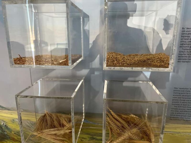 From Istanbul: Mount Nemrut & Göbekli Tepe 2-Day Tour - Key Points