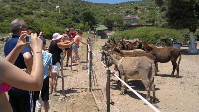 From Izmir: Full Day Boat Trip around Cesme with BBQ Lunch - An Honest Look at the Cesme Boat Trip