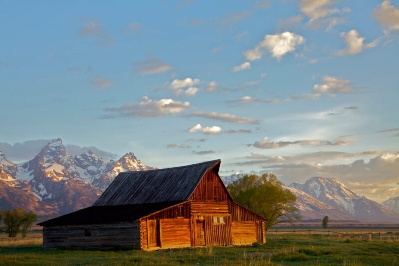 From Jackson: Grand Teton Sunset and Sightseeing Tour - How is the wildlife viewing?