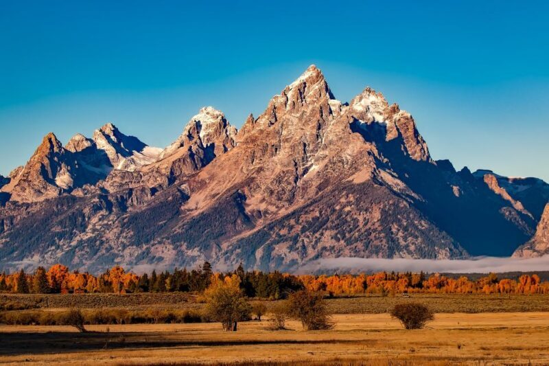 From Jackson: Half-Day Grand Teton National Park Tour - The Itinerary: What to Expect from Start to Finish