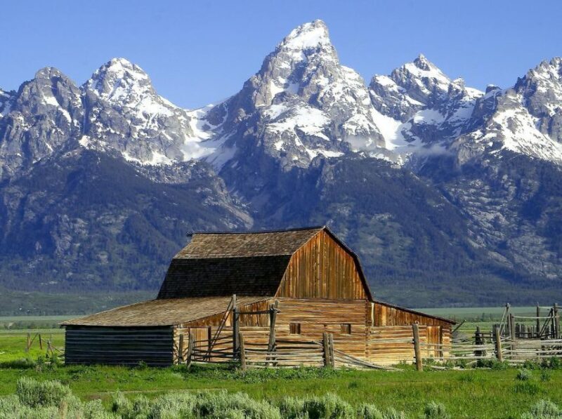 From Jackson: Half-Day Grand Teton National Park Tour - Practical Aspects: Cost, Duration, and Value