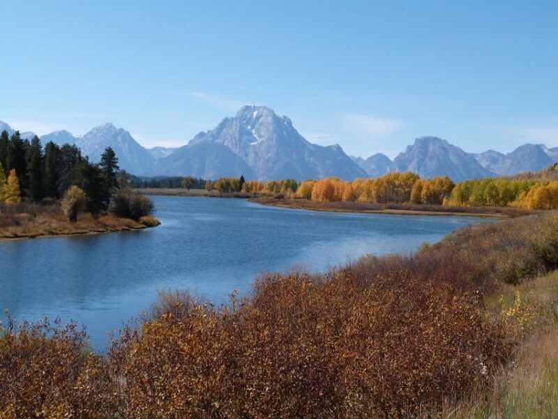 From Jackson: Half-Day Grand Teton National Park Tour - The Experience Through Travelers Eyes