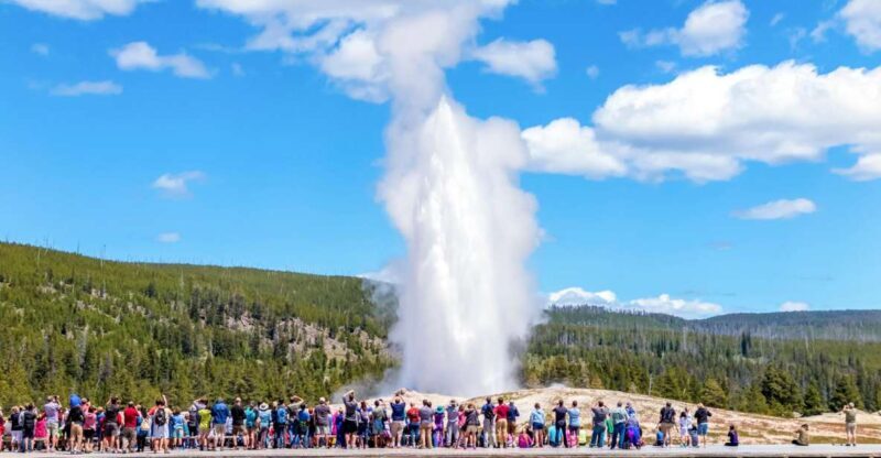 From Jackson: Yellowstone Day Tour Including Entrance Fee - What to Expect on the Yellowstone Day Tour