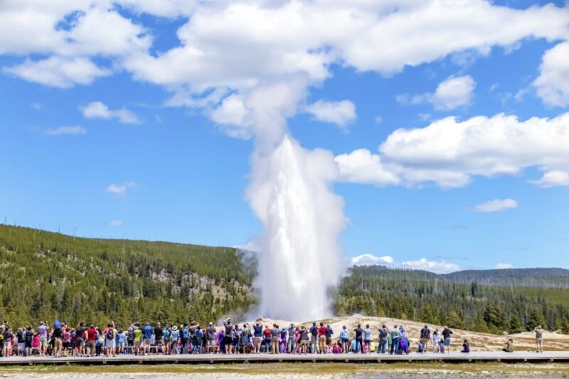 From Jackson: Yellowstone Day Tour Including Entrance Fee - The Real Experience: Guides, Value, and Flexibility