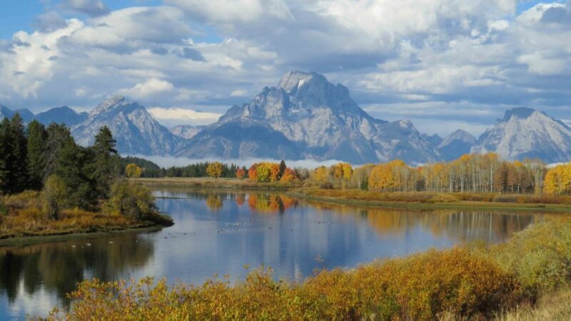 From Jackson: Yellowstone Day Tour Including Entrance Fee - Who Is This Tour Best For?