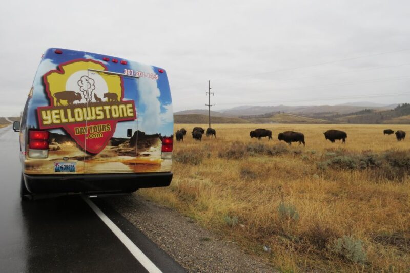 From Jackson: Yellowstone Day Tour Including Entrance Fee - FAQs