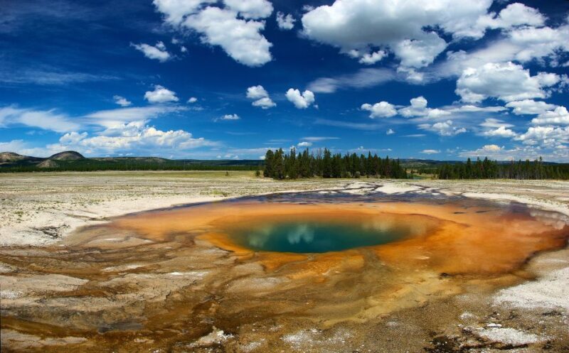 From Jackson: Yellowstone National Park Day Trip with Lunch - Key Points
