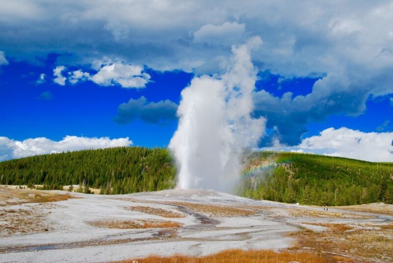 From Jackson: Yellowstone National Park Day Trip with Lunch - A Detailed Look at the Yellowstone Day Trip