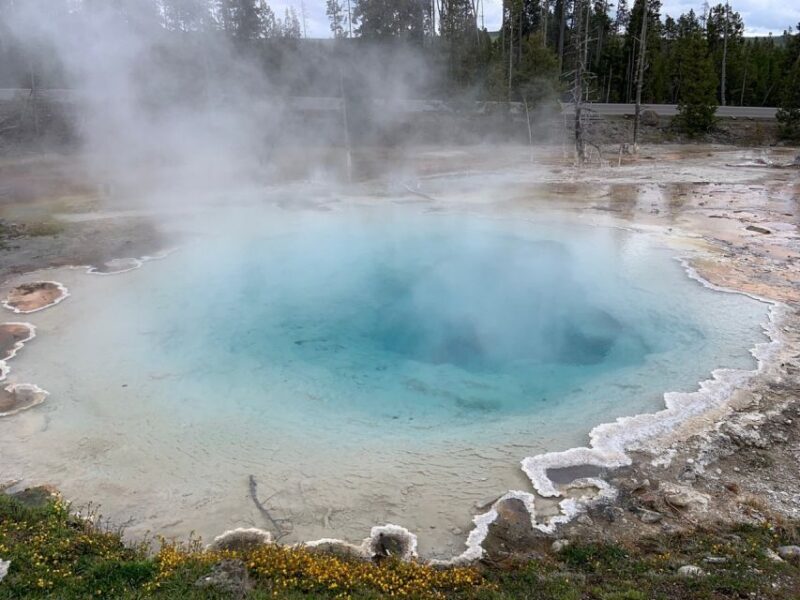 From Jackson: Yellowstone National Park Day Trip with Lunch - The Bottom Line