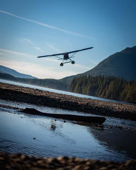 From Juneau: Pack Creek Bear Viewing Adventure - Practical Tips for Your Trip