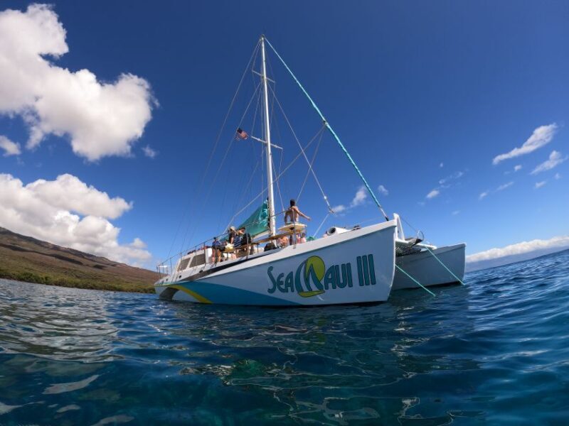 From Ka'anapali: West Maui Half-Day Snorkel Tour w/ Food - The Itinerary in Detail