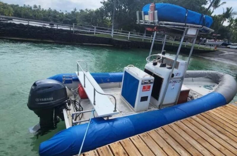 From Keauhou Bay: Manta Ray Night Tour - The Value for the Price