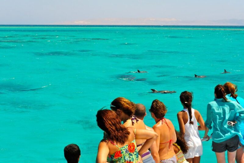 From Key West: Dolphin Watching Tour with Lunch & Drinks - What You Can Expect From This Tour