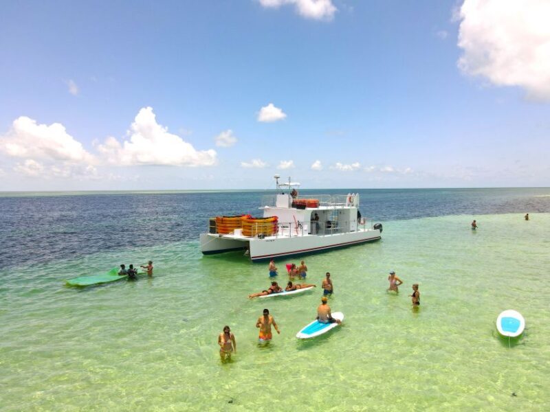 From Key West: Dolphin Watching Tour with Lunch & Drinks - Who Should Consider This Tour?