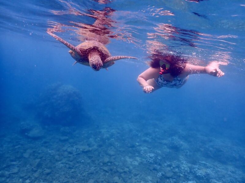 From Kihei: Molokini Crater and Turtle Town Snorkeling - The Value of This Experience