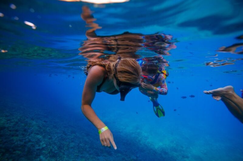 From Kihei: Molokini Crater and Turtle Town Snorkeling - What the Trip Feels Like