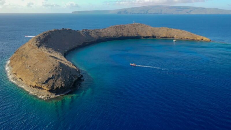 From Kihei: Molokini Crater and Turtle Town Snorkeling - Final Thoughts